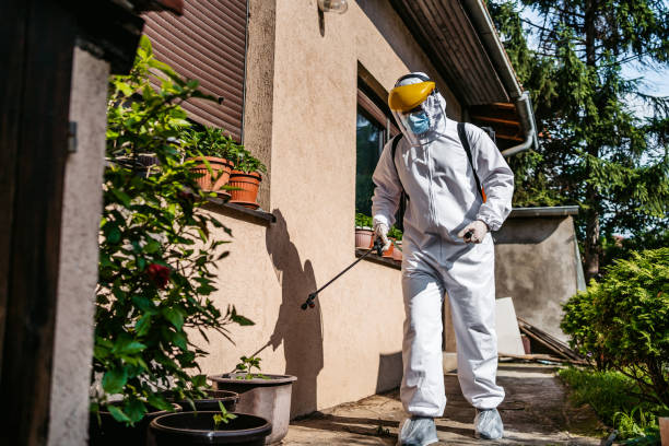 Best Affordable Pest Control Services  in Saegertown, PA