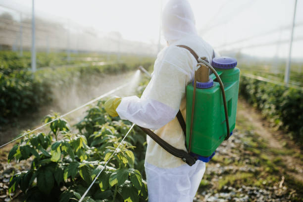 Professional Pest Control in Saegertown, PA